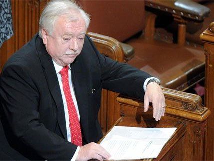 Viele Themen gibt es im Wiener Gemeinderat zu besprechen. Viele Themen gibt es im Wiener Gemeinderat zu besprechen.