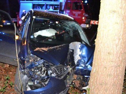 Der Lenker wurde bei dem Unfall in NÖ verletzt. Der Lenker wurde bei dem Unfall in NÖ verletzt.