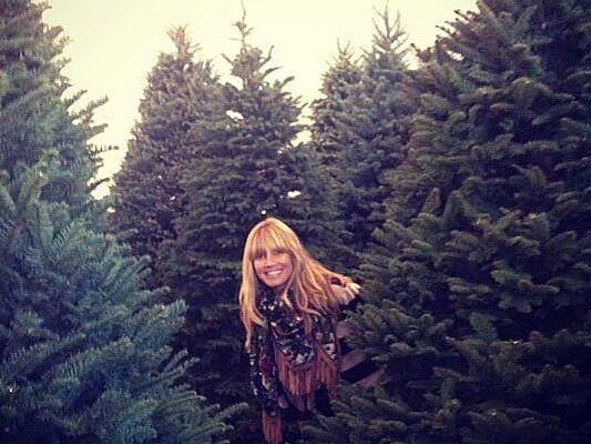 Heidi Klum hat heuer sechs Weihnachtsbäume zu schmücken. Heidi Klum hat heuer sechs Weihnachtsbäume zu schmücken.