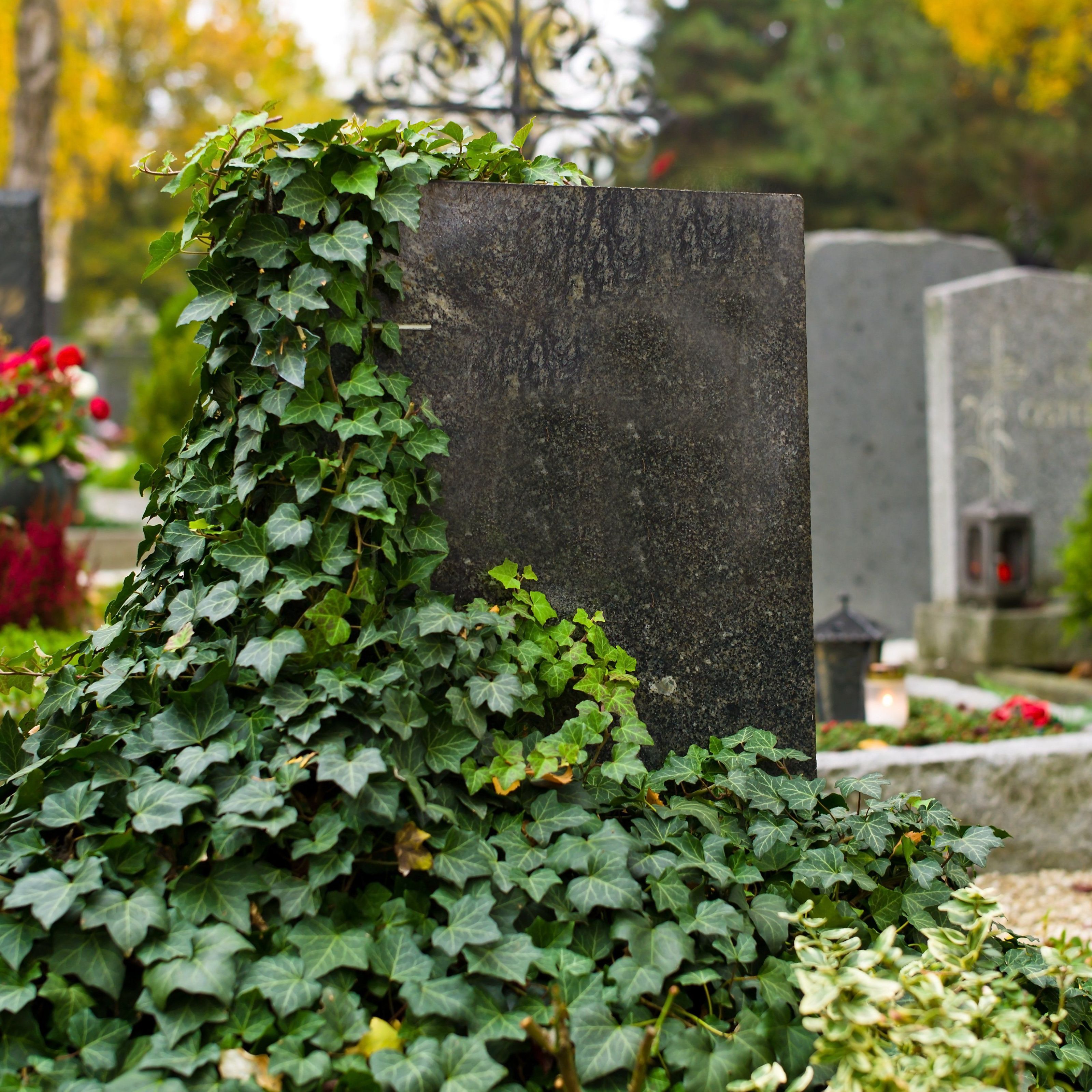 Friedhöfe bleiben in Salzburg in der Silvesternacht geöffnet. Friedhöfe bleiben in Salzburg in der Silvesternacht geöffnet.