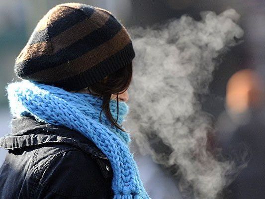 Kalt und stürmisch wird es in Wien - aber Weiße Weihnachten? Fehlanzeige Kalt und stürmisch wird es in Wien - aber Weiße Weihnachten? Fehlanzeige