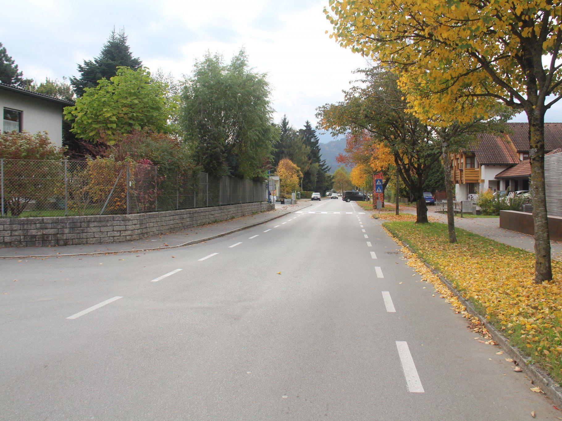 VOL.AT stellt die Straßen in Vorarlberg in einer großen Serie vor.  Im Bild die Vorderlandstraße.