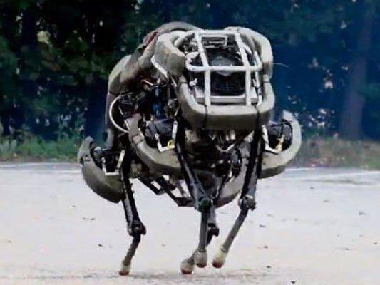 Internet-Konzern übernahm Boston Dynamics.