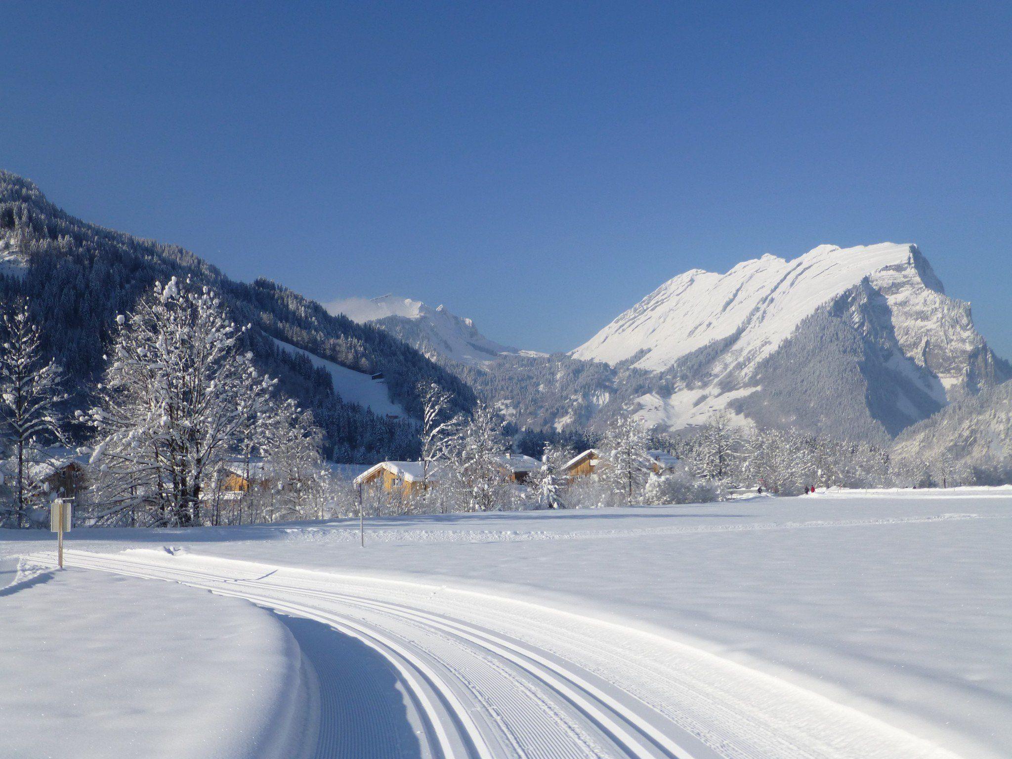 50 Kilometer klassische Langlauf-, 13 Kilometer Skatingloipen und 35 Kilometer Winterwanderwege in Au-Schoppernau.