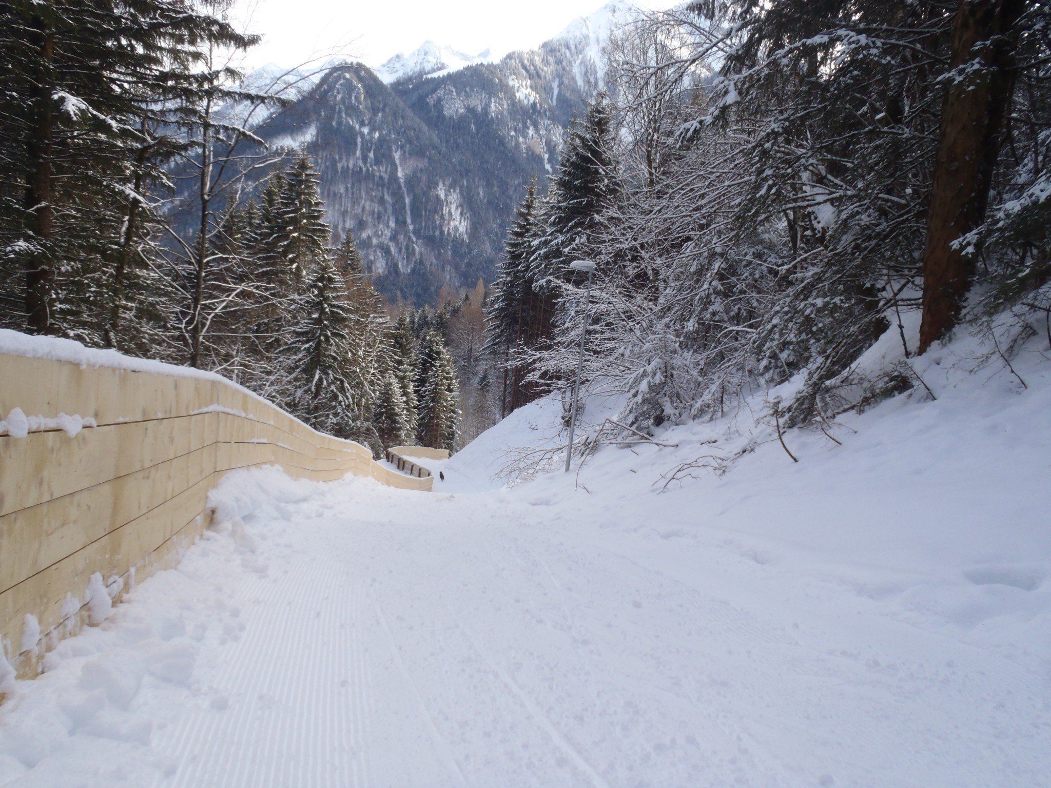 Jeden Mittwoch- und Freitagabend geht es auf der beleuchteten Rodelbahn in Bürserberg zum Nachtrodeln.