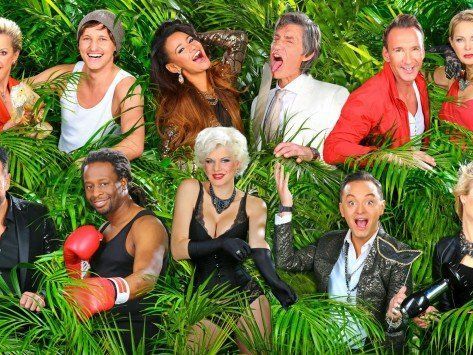 Die Kandidaten des Dschungelcamps 2014 erhalten Gagen in unterschiedlichen Höhen. Die Kandidaten des Dschungelcamps 2014 erhalten Gagen in unterschiedlichen Höhen.