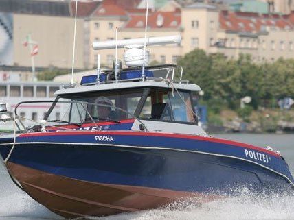 das Polizeiboot "Fischa" ging nach einer Kollision unter. das Polizeiboot "Fischa" ging nach einer Kollision unter.