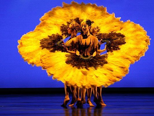 Eindrücke von MOMIX Botanica Eindrücke von MOMIX Botanica