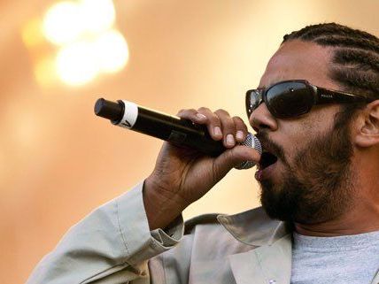 Auch Samy Deluxe tritt am Nova Rock 2014 auf. Auch Samy Deluxe tritt am Nova Rock 2014 auf.