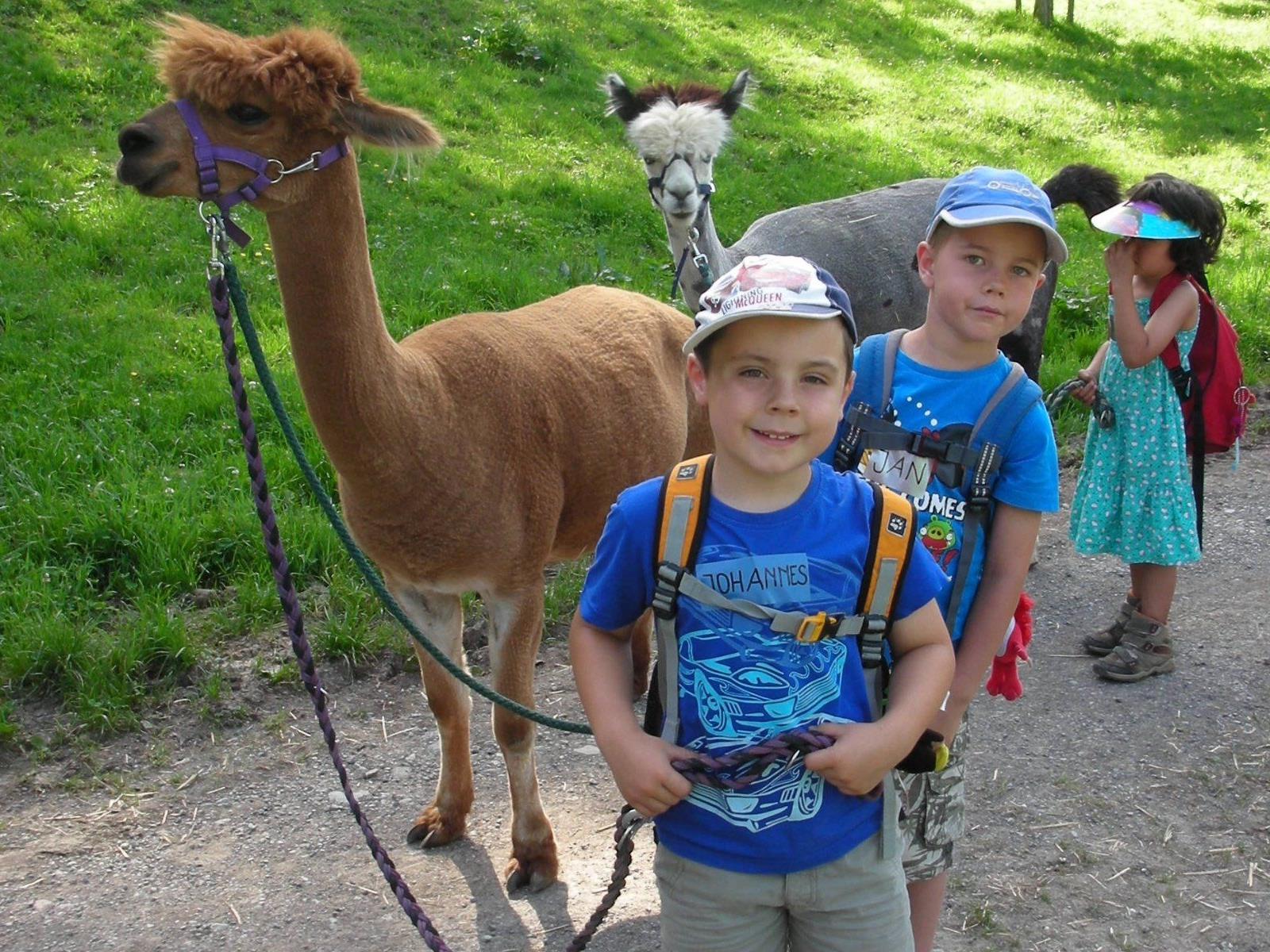 Gemeinsam mit Lamas und Alpacas übernehmen die Kinder Verantwortung für die Tiere