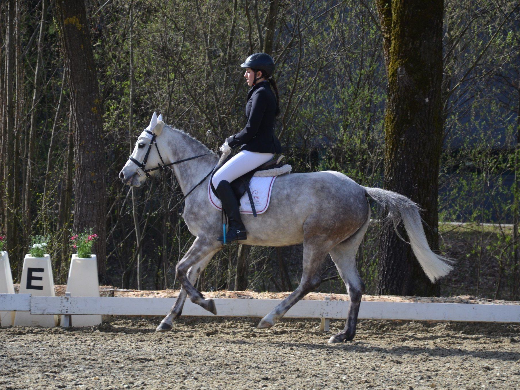 Tollen Dressursport gab es bei der Saisoneröffnung in Klaus. Tollen Dressursport gab es bei der Saisoneröffnung in Klaus.