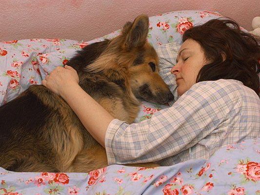 Für viele Wien-Urlauber ist der Aufenthalt erst mit dem geliebten Vierbeiner richtig schön Für viele Wien-Urlauber ist der Aufenthalt erst mit dem geliebten Vierbeiner richtig schön