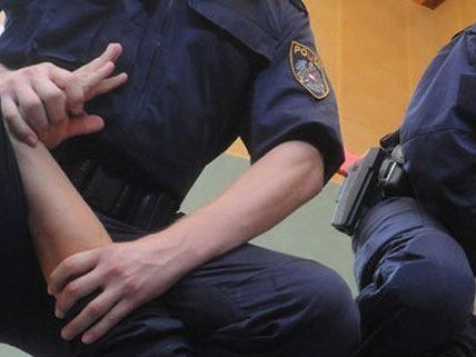 Eine spektakuläre Festnahme gelang in Wien Eine spektakuläre Festnahme gelang in Wien