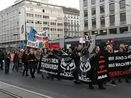 Demo am Sonntag am Wiener Ring. Demo am Sonntag am Wiener Ring.