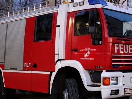 Gasgeruch sorgte am Sonntag für einen Großeinsatz der Wiener Feuerwehr. Gasgeruch sorgte am Sonntag für einen Großeinsatz der Wiener Feuerwehr.