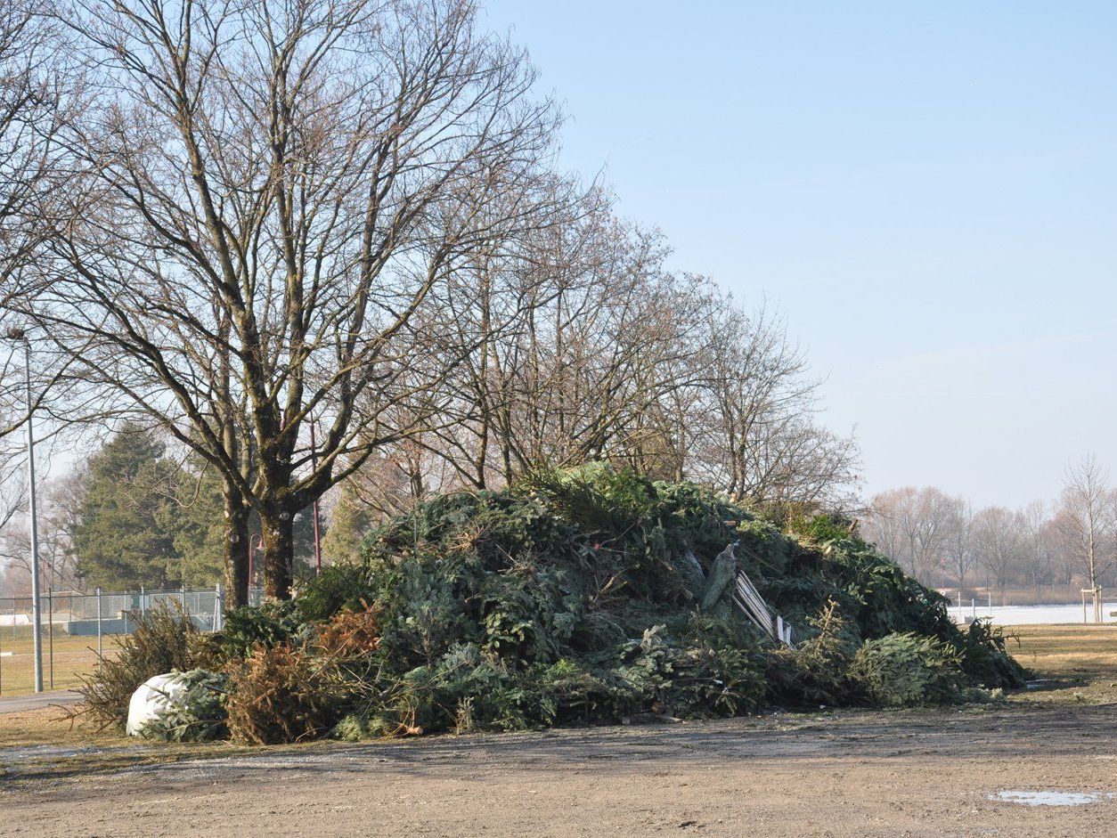 Ab Donnerstag können Christbäume u.a. Funkenbaumaterial beim Stedepark abgegeben werden. Ab Donnerstag können Christbäume u.a. Funkenbaumaterial beim Stedepark abgegeben werden.