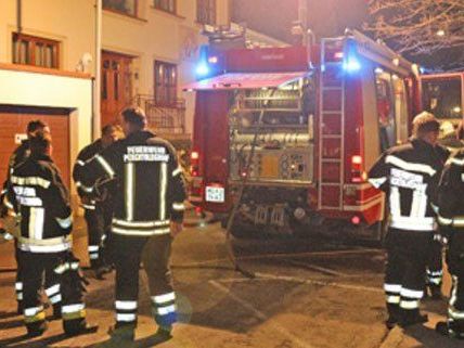Feuerwehrleute bei den Löscharbeiten in Perchtoldsdorf. Feuerwehrleute bei den Löscharbeiten in Perchtoldsdorf.