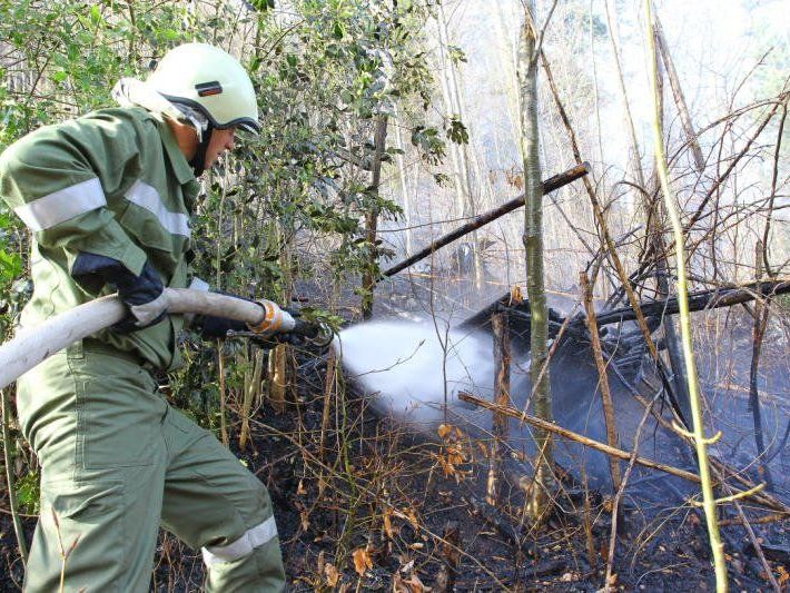 Unterholz fing aus ungeklärter Ursache Feuer