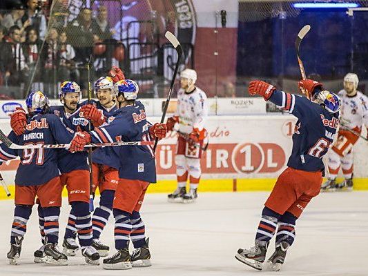 Jubel bei den Salzburgern Jubel bei den Salzburgern