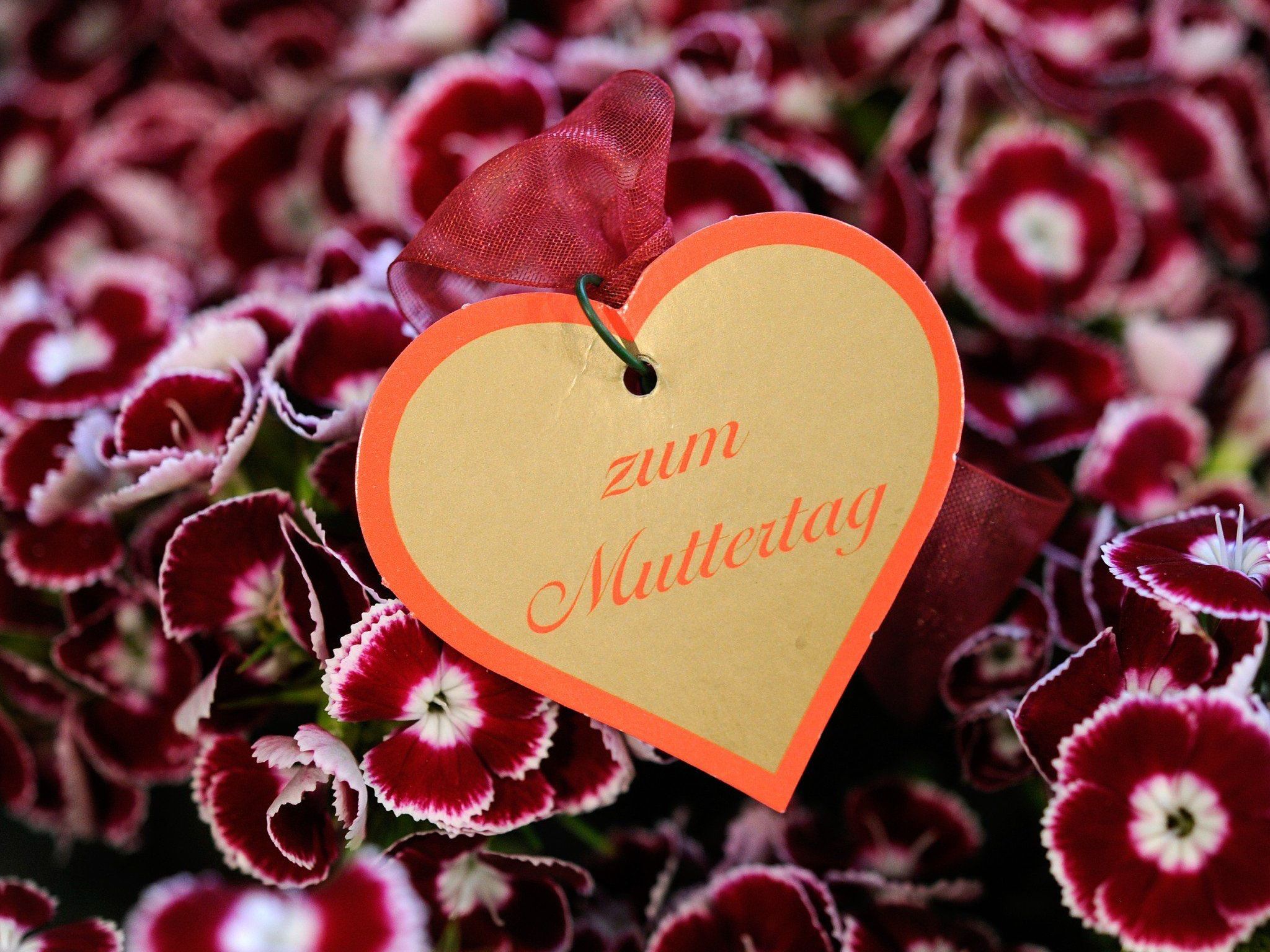 Wir verlosen Produkt-Packages für Mütter und Töchter! Wir verlosen Produkt-Packages für Mütter und Töchter!