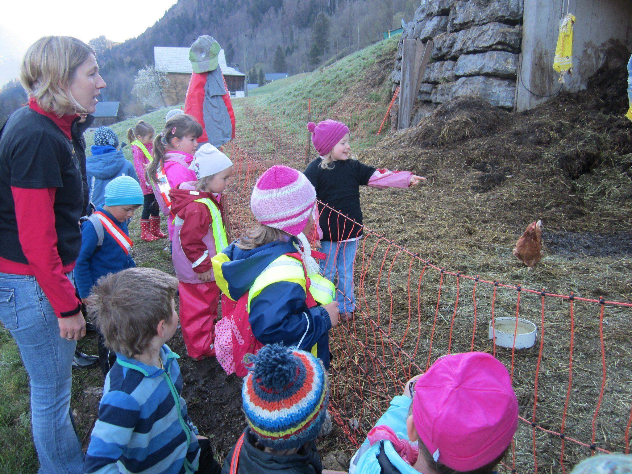 Spannender Besuch des Kindergarten Sonntag auf dem Bauernhof von Petra und German Nigsch.