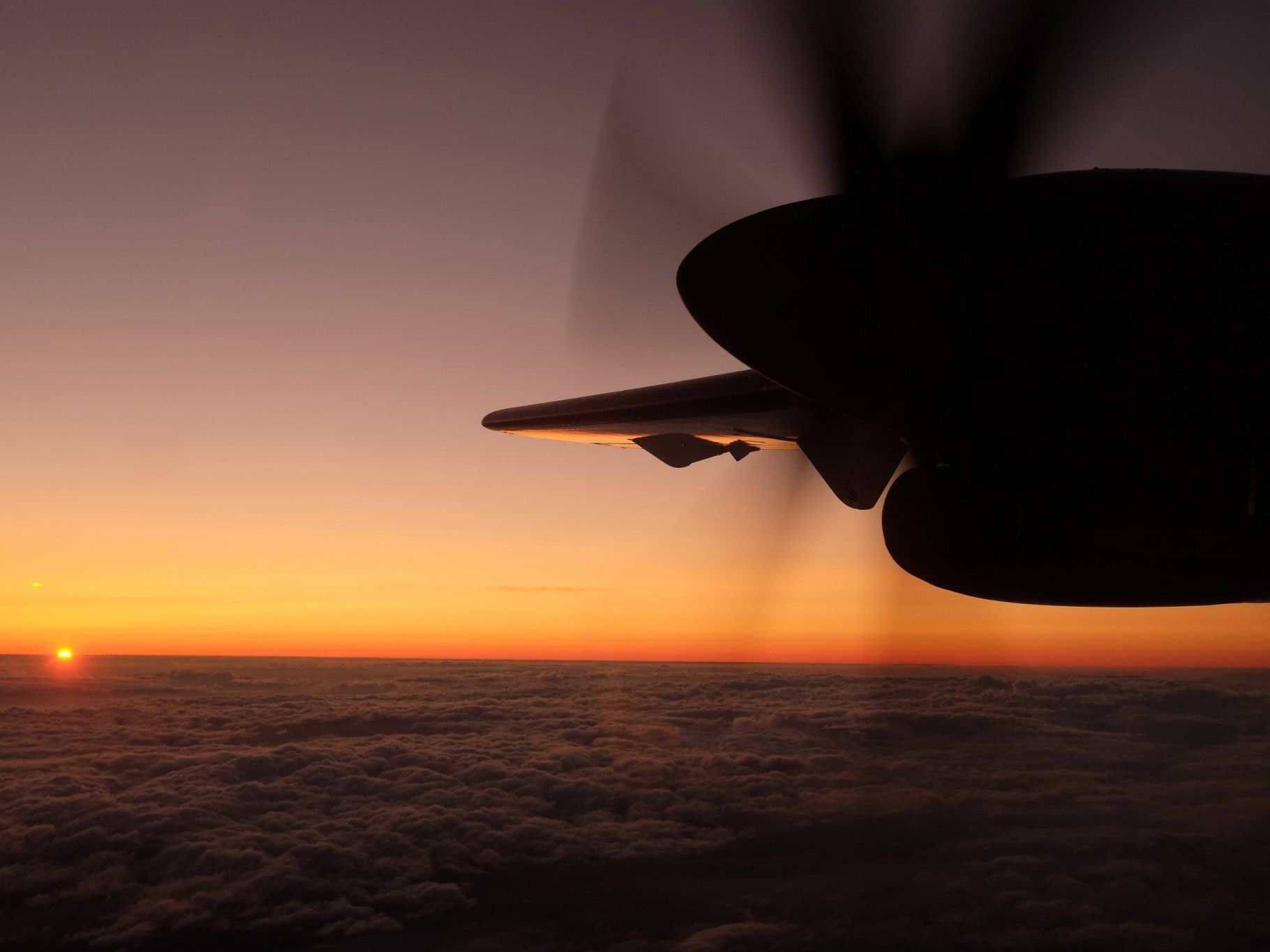 Umsatzplus von über 45 Prozent im ersten Quartal 2014 - 50 Prozent mehr Passagiere. Umsatzplus von über 45 Prozent im ersten Quartal 2014 - 50 Prozent mehr Passagiere.