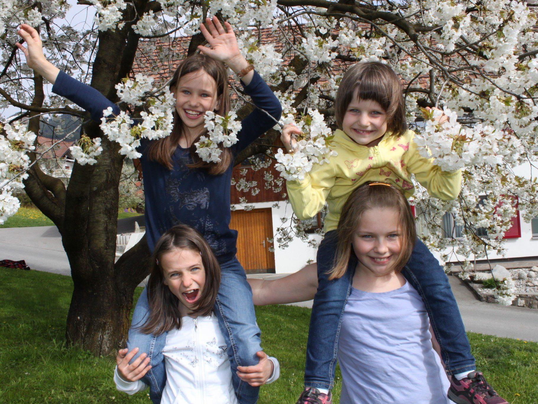 Klaudia, Johanna, Anna Lena und Andrea sind begeistert von der Blütenpracht, die die Fraxner Kirschenbäume das ganze Dorf bezaubern.
