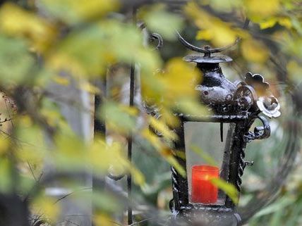 1.300 Selbstmorde im Jahr in Österreich 1.300 Selbstmorde im Jahr in Österreich