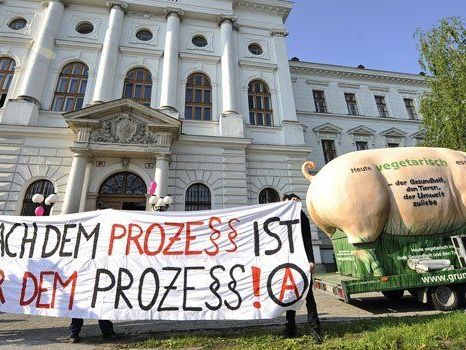 Tierschützer-Causa: Neuauflage des Prozesses startet am 13. Mai Tierschützer-Causa: Neuauflage des Prozesses startet am 13. Mai