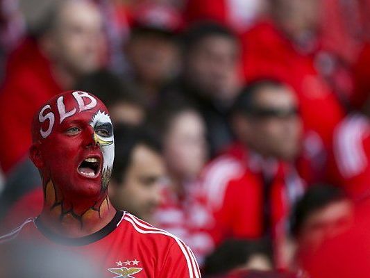 Fans wollen endlich wieder ein Fianle gewinnen Fans wollen endlich wieder ein Fianle gewinnen