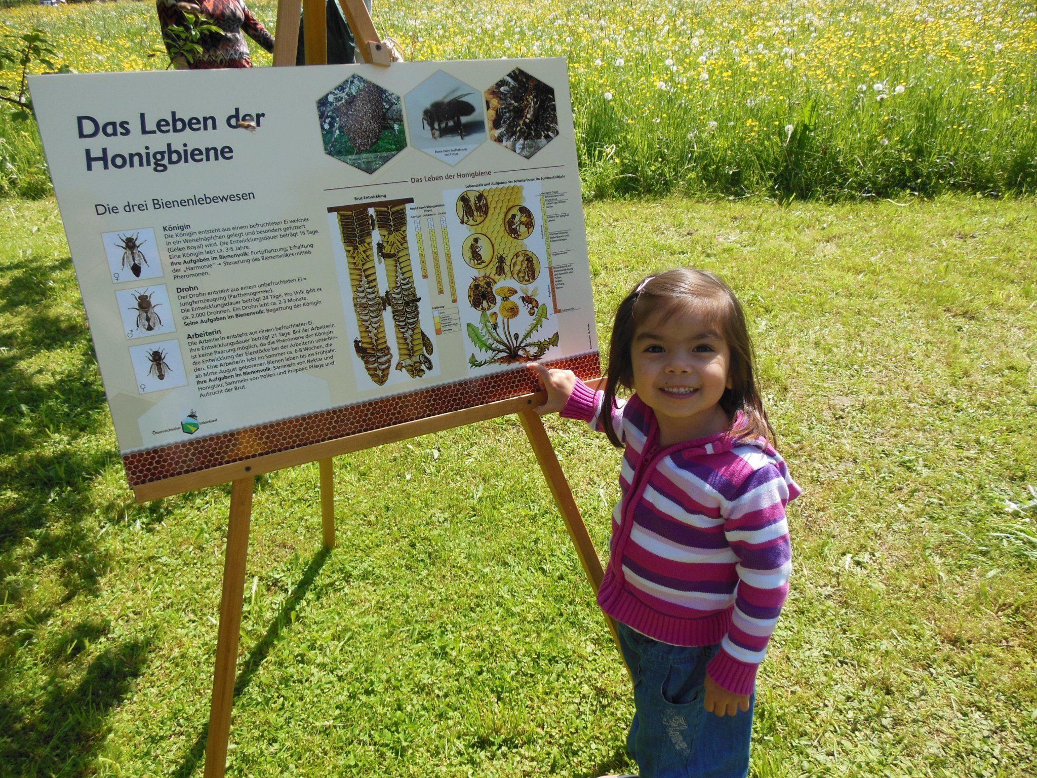 Alissa interessierte sich auch für die Bienen. Alissa interessierte sich auch für die Bienen.