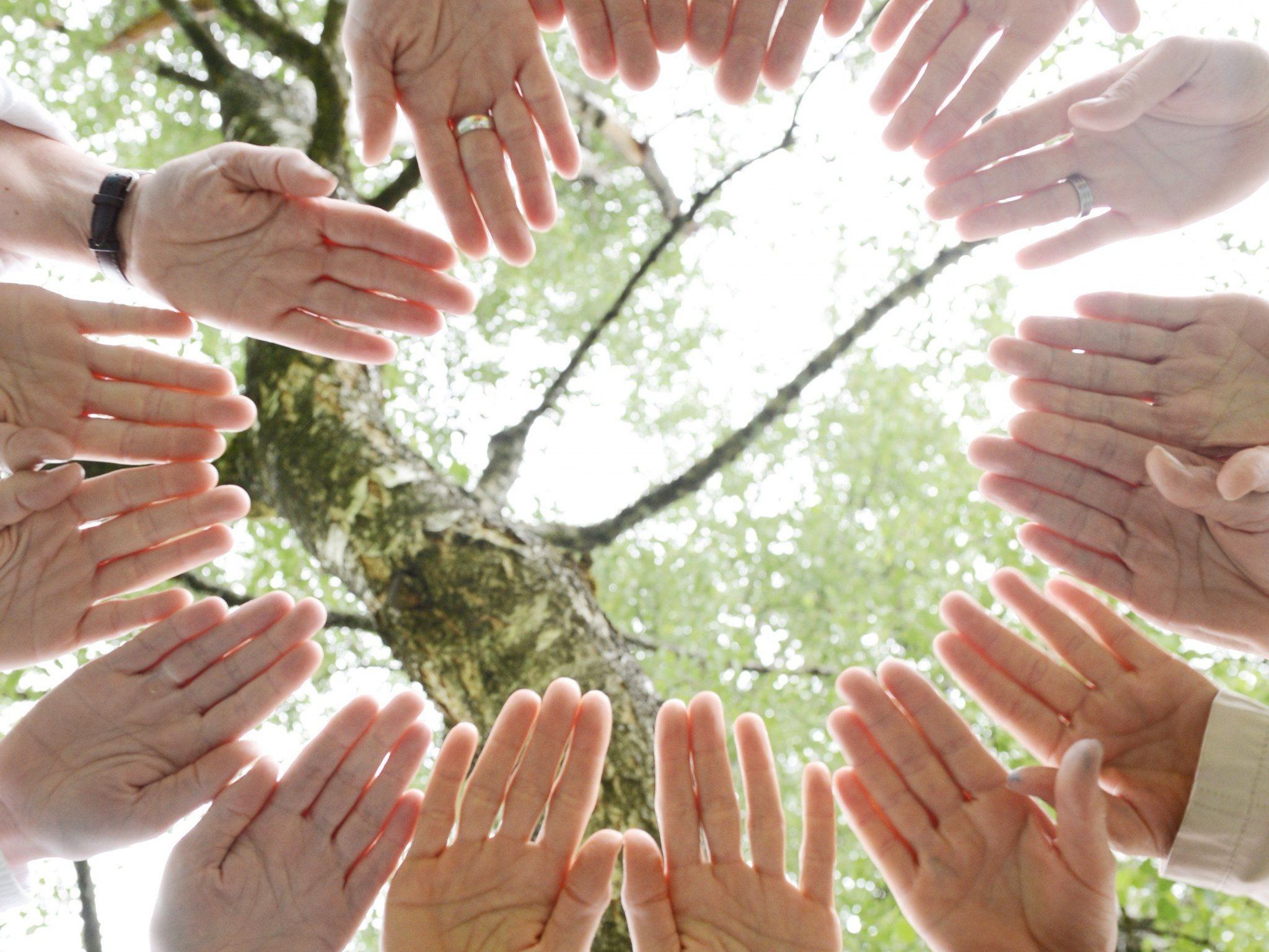 Kino im Gesundheitstreffpunkt "Metnand". Kino im Gesundheitstreffpunkt "Metnand".