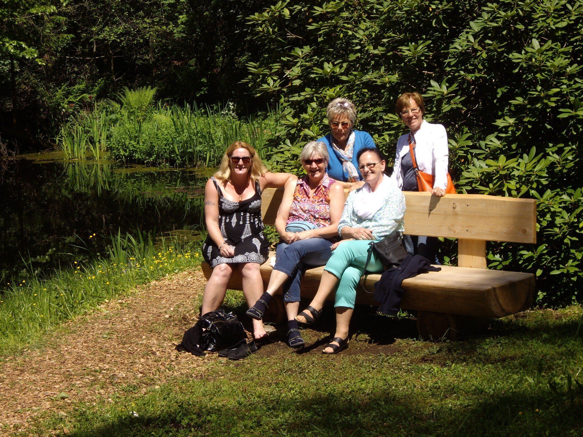 Im Seleger Moor Im Seleger Moor