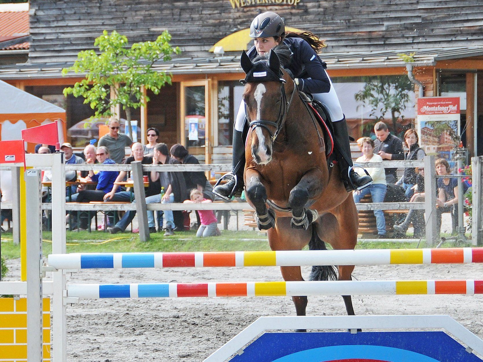 Toller Pferdesport bei der Reitanlage des Reitstalls Rheinau am Alten Rhein in Höchst Toller Pferdesport bei der Reitanlage des Reitstalls Rheinau am Alten Rhein in Höchst