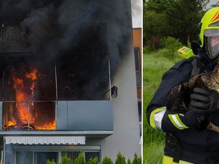 Einsatz beim Brand in Guntramsdorf Einsatz beim Brand in Guntramsdorf