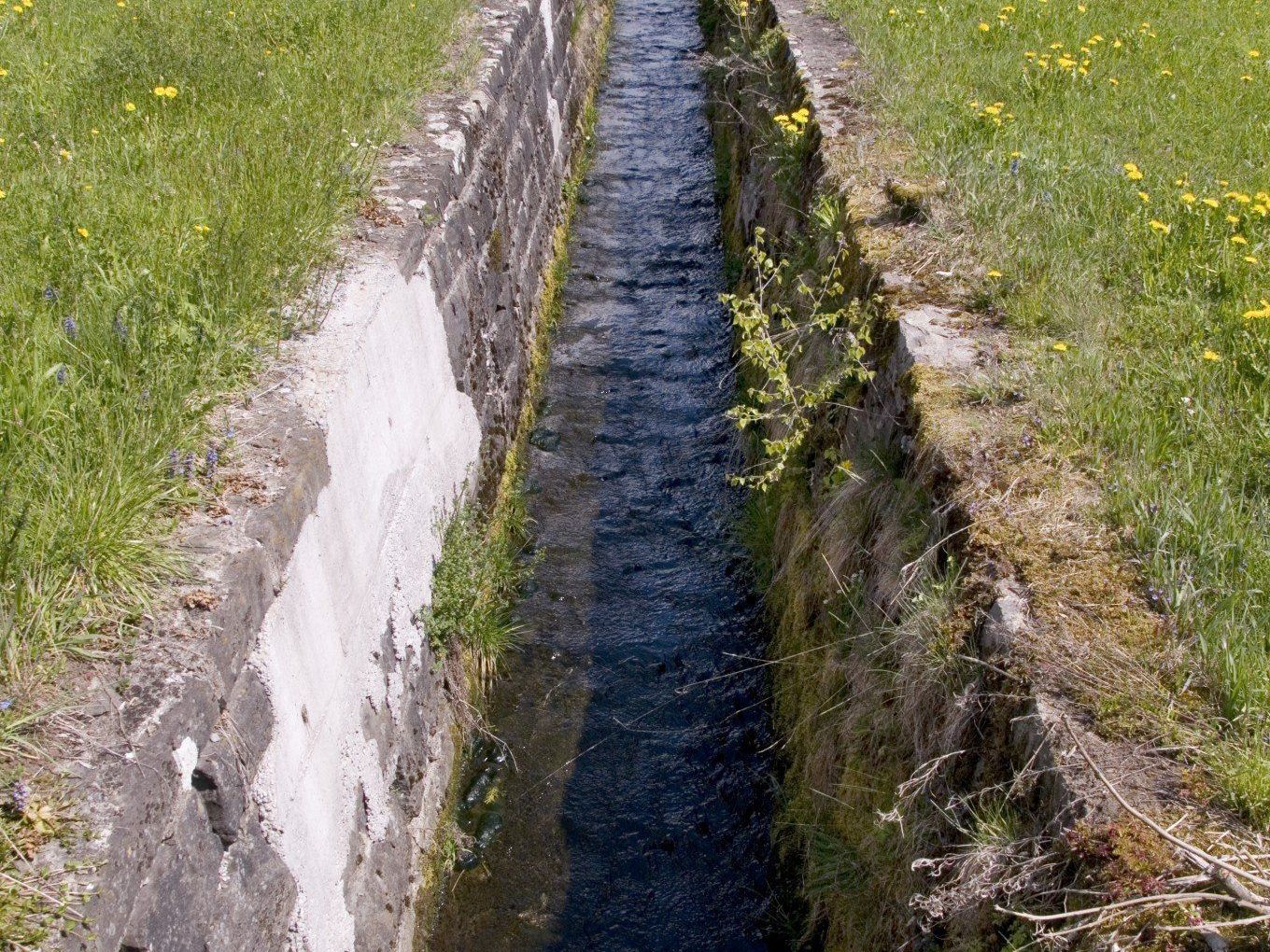 das enge Bachbett des Hoferbachs soll renaturiert werden das enge Bachbett des Hoferbachs soll renaturiert werden