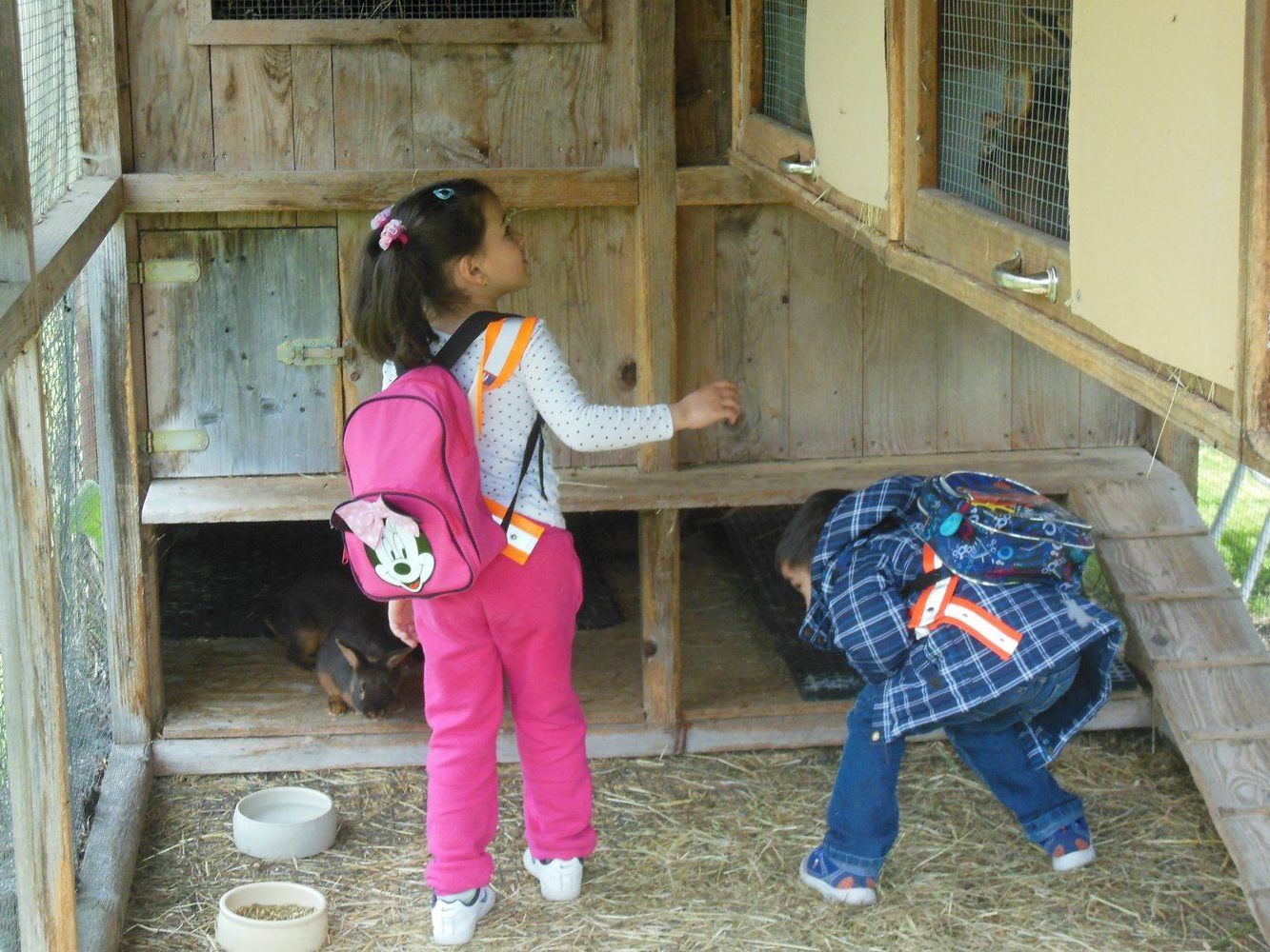 In Hohenweiler erkundeten die Kindergärtler die Welt der Kaninchen. In Hohenweiler erkundeten die Kindergärtler die Welt der Kaninchen.