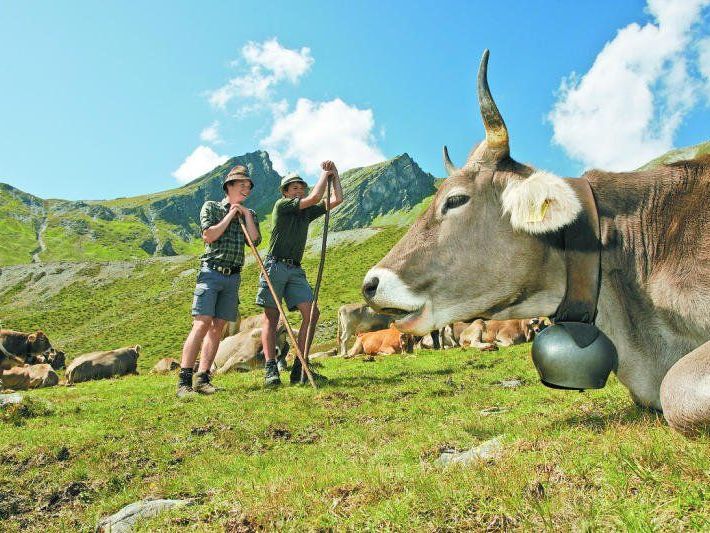 3500 landwirtschaftliche Betriebe erhalten knapp 90 Prozent der EU-Agrar-Subventionen.