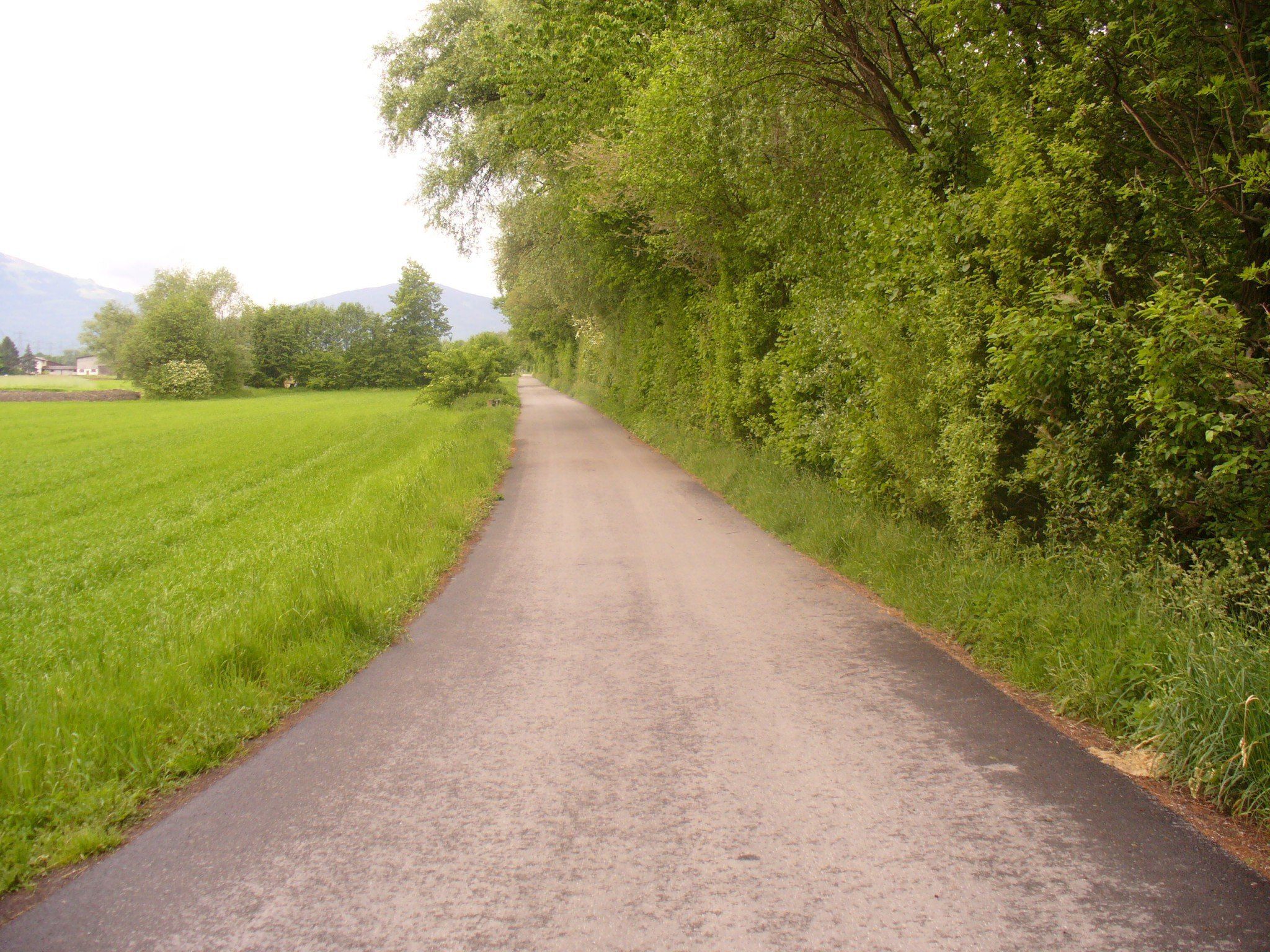 Ein neues Stück Radweg im Altacher Naherholungsgebiet Ein neues Stück Radweg im Altacher Naherholungsgebiet