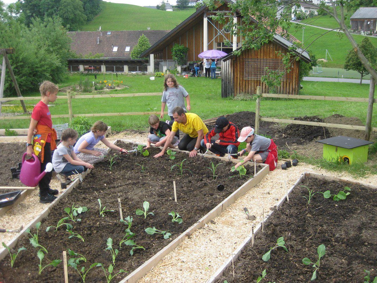 Die Langenegger Schüler bepflanzten ihren Schulgarten mit Begeisterung.