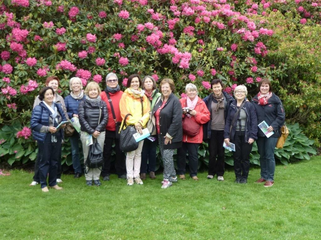 Die Englisch-Kursgruppe besuchte auch „The Lost Gardens of Heligan“, in denen die Rhododendren in voller Blüte standen. Die Englisch-Kursgruppe besuchte auch „The Lost Gardens of Heligan“, in denen die Rhododendren in voller Blüte standen.