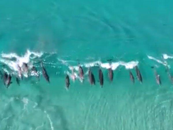 Atemberaubende Aufnahmen von der Küste Australiens.