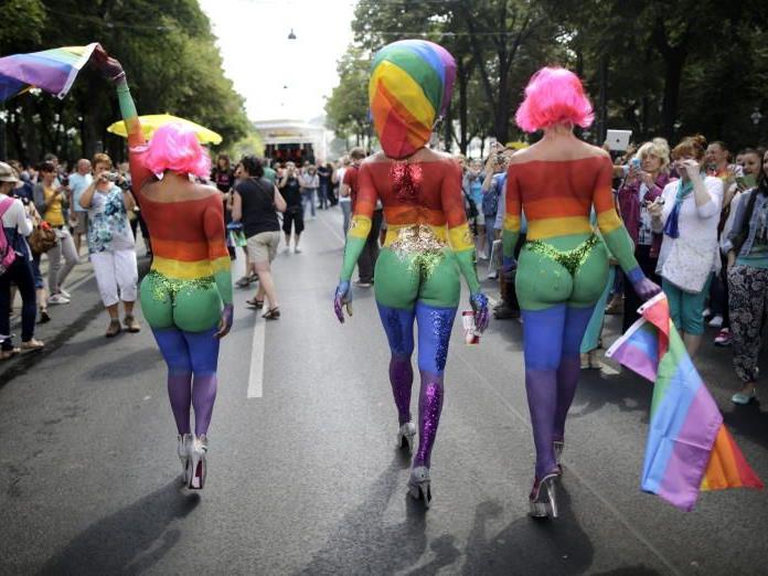 Bei Gegen-Demos zur Wiener Regenbogenparade kam es zu Festnhamen.