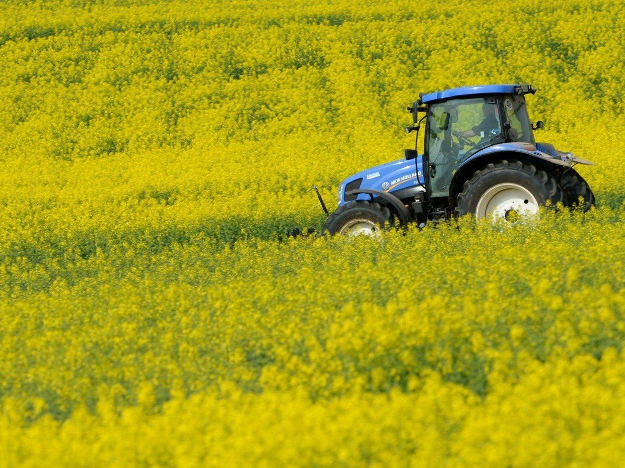 Ein 62-jähriger Landwirt erlitt nach einem Unfall mit einem Häcksler tödliche Verletzungen. Ein 62-jähriger Landwirt erlitt nach einem Unfall mit einem Häcksler tödliche Verletzungen.