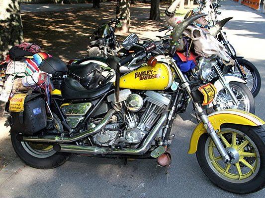 Vienna Harley Days: Eines von vielen stylishen Bikes in der Prater Hauptallee Vienna Harley Days: Eines von vielen stylishen Bikes in der Prater Hauptallee