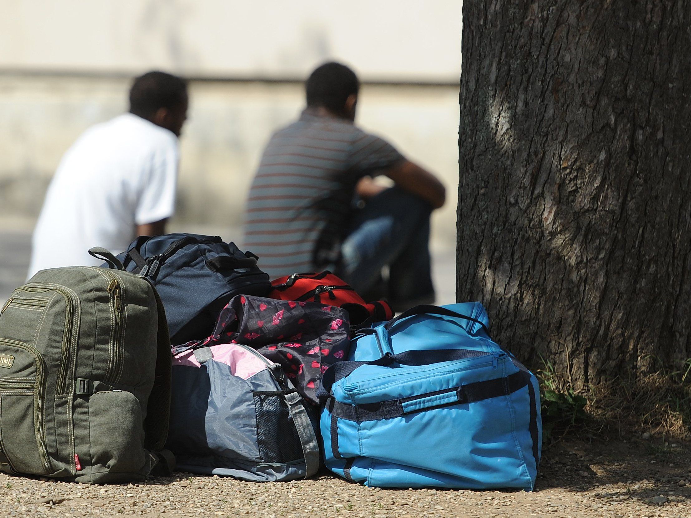 Nach dem Ultimatum aus Wien erfüllt Vorarlberg jetzt die Asylquote von 88 Prozent. Nach dem Ultimatum aus Wien erfüllt Vorarlberg jetzt die Asylquote von 88 Prozent.