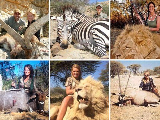 Großwildjagd als "Trend" Großwildjagd als "Trend"
