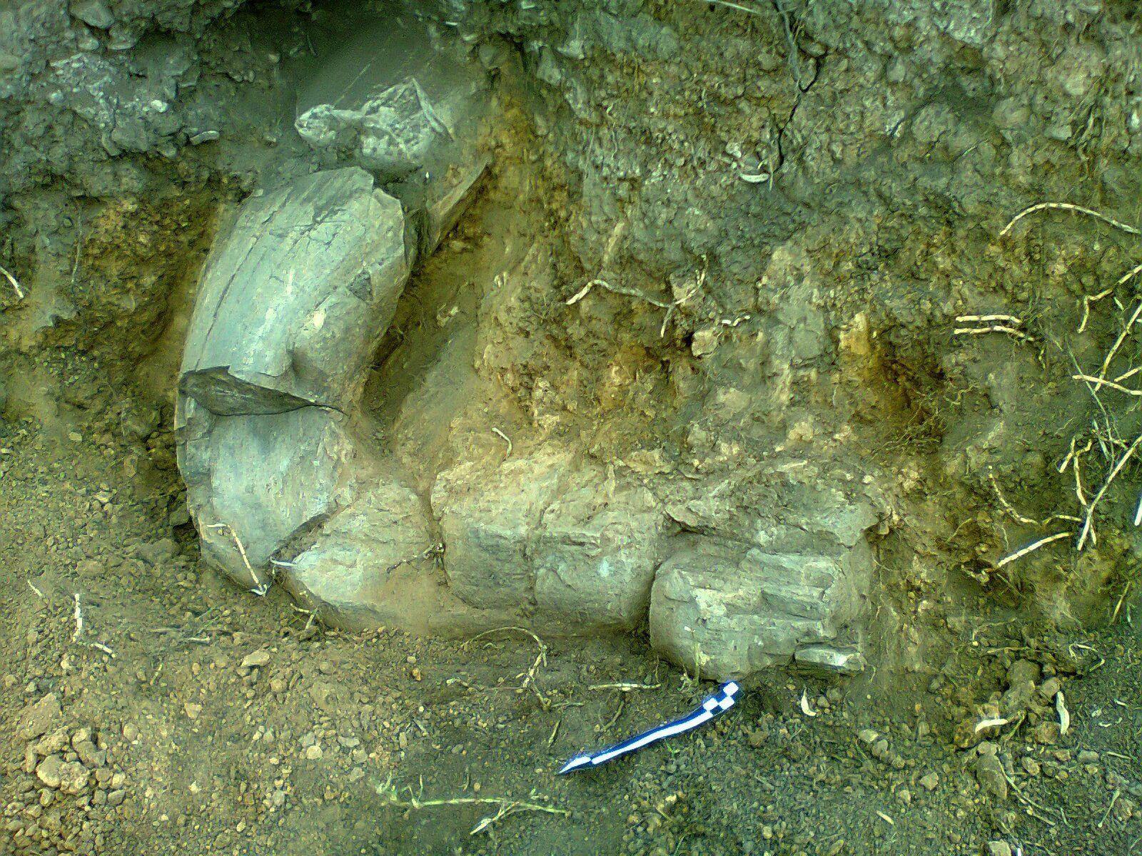 Mammut-Stoßzahn: Erstmals Überreste in Opfergabe gefunden