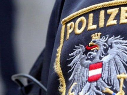 Die beiden Jugendlichen konnten festgenommen werden. Die beiden Jugendlichen konnten festgenommen werden.