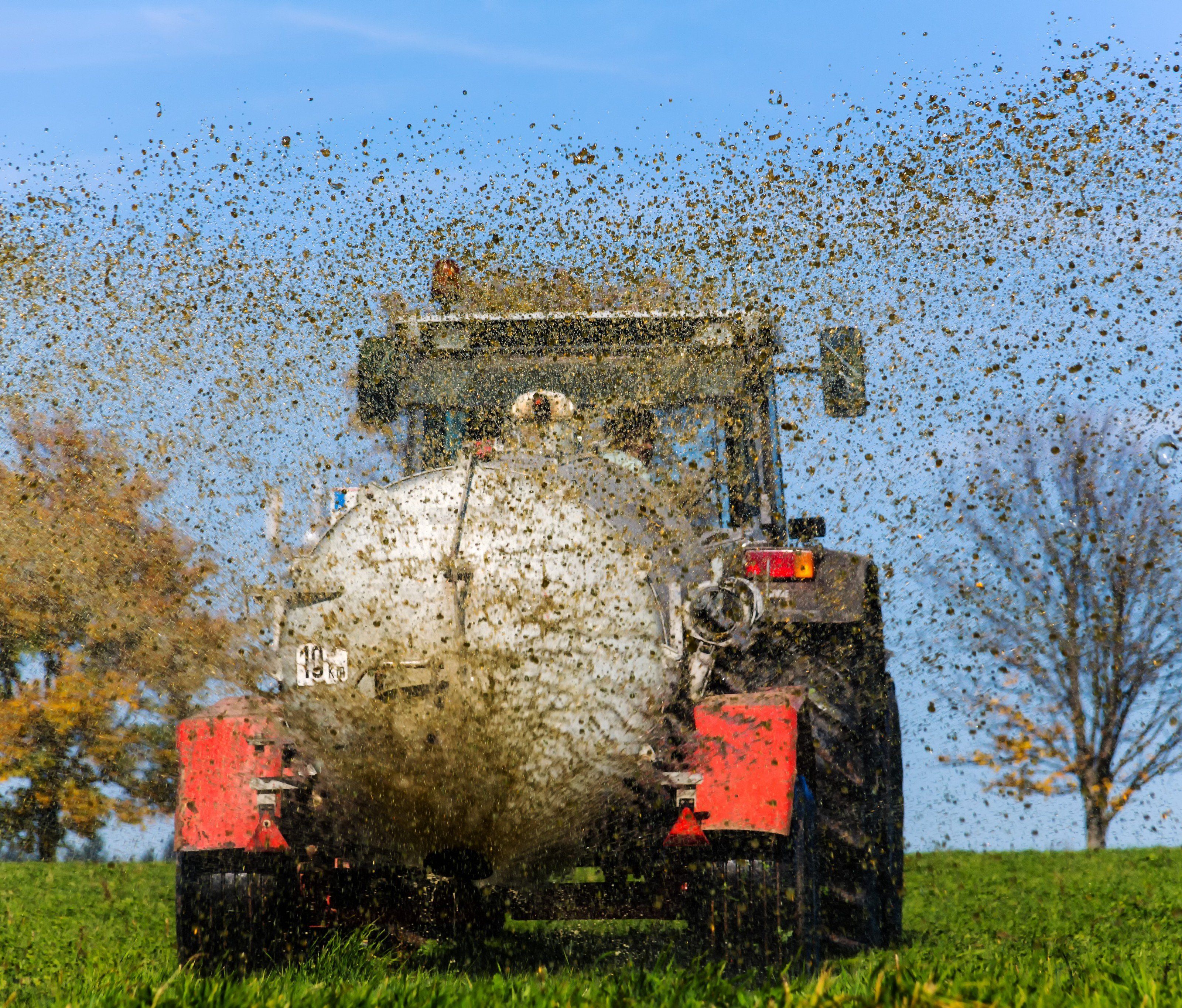 Die Erzeuger von knapp 20 Obst- und Gemüsesorten können Hilfe beantragen. Die Erzeuger von knapp 20 Obst- und Gemüsesorten können Hilfe beantragen.